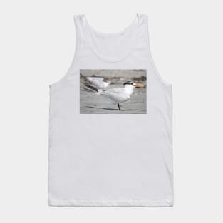 Royal tern Tank Top